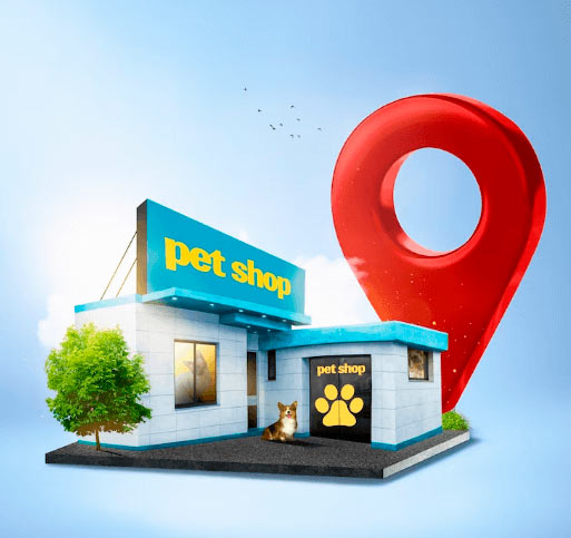seo local